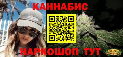 крисы Будённовск