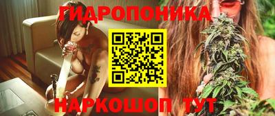 крисы Будённовск