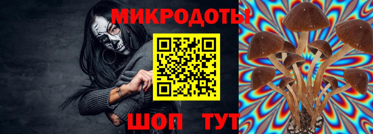 Галлюциногенные грибы Cubensis Щёкино