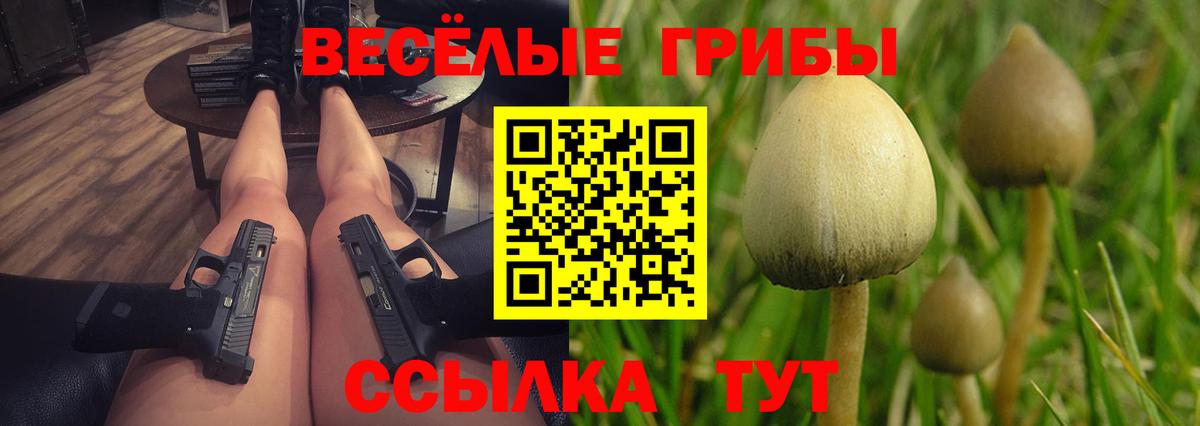 Псилоцибиновые грибы прущие грибы  Вход с VPN  Щёкино 